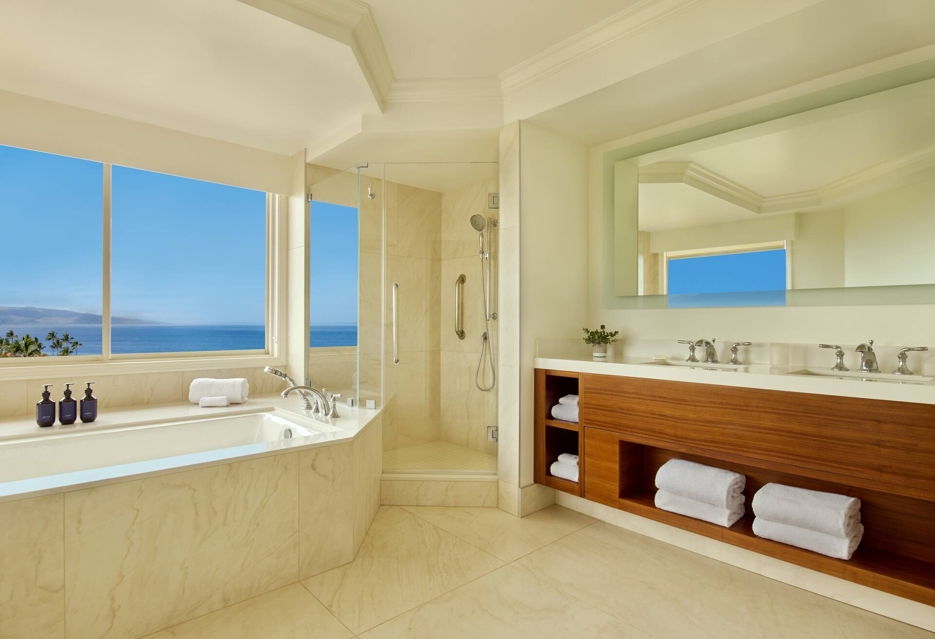 Molokini Suite - 1 King Bed