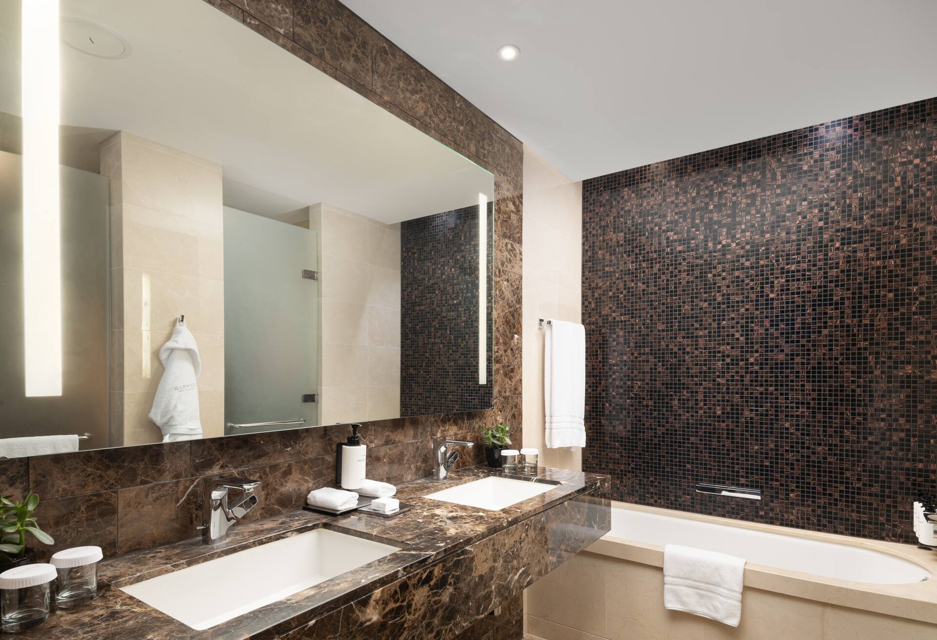 One Bedroom Suite with Lounge Access thumbnail 6