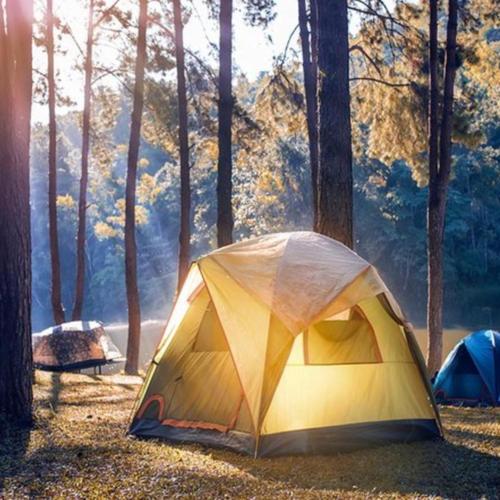 Campers - Site 1