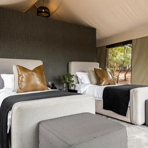 Premier Tent