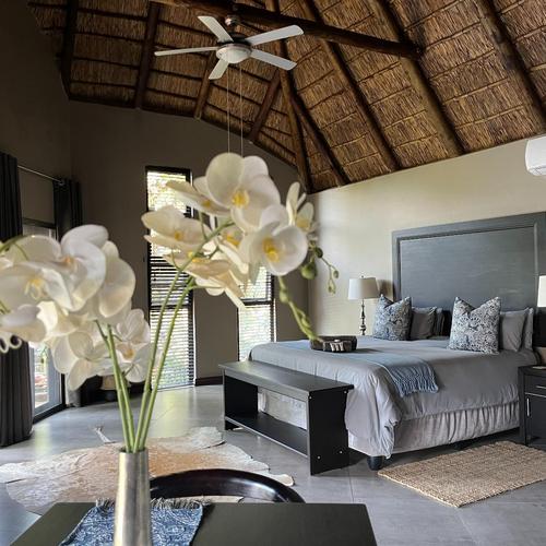 King Room Oryx 2