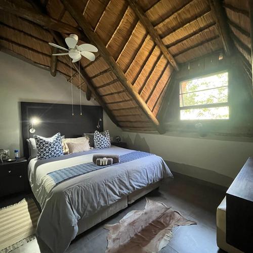 King Room Oryx 10