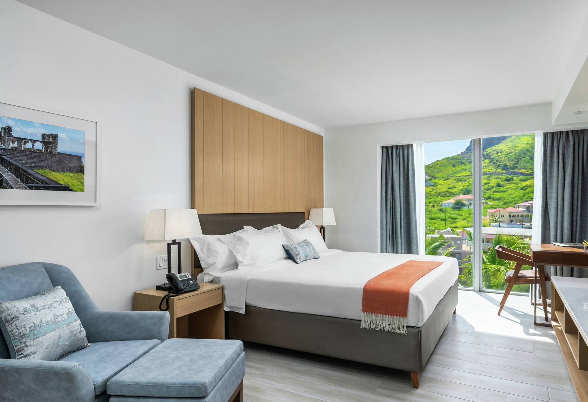 Mountain View King Room photo 1