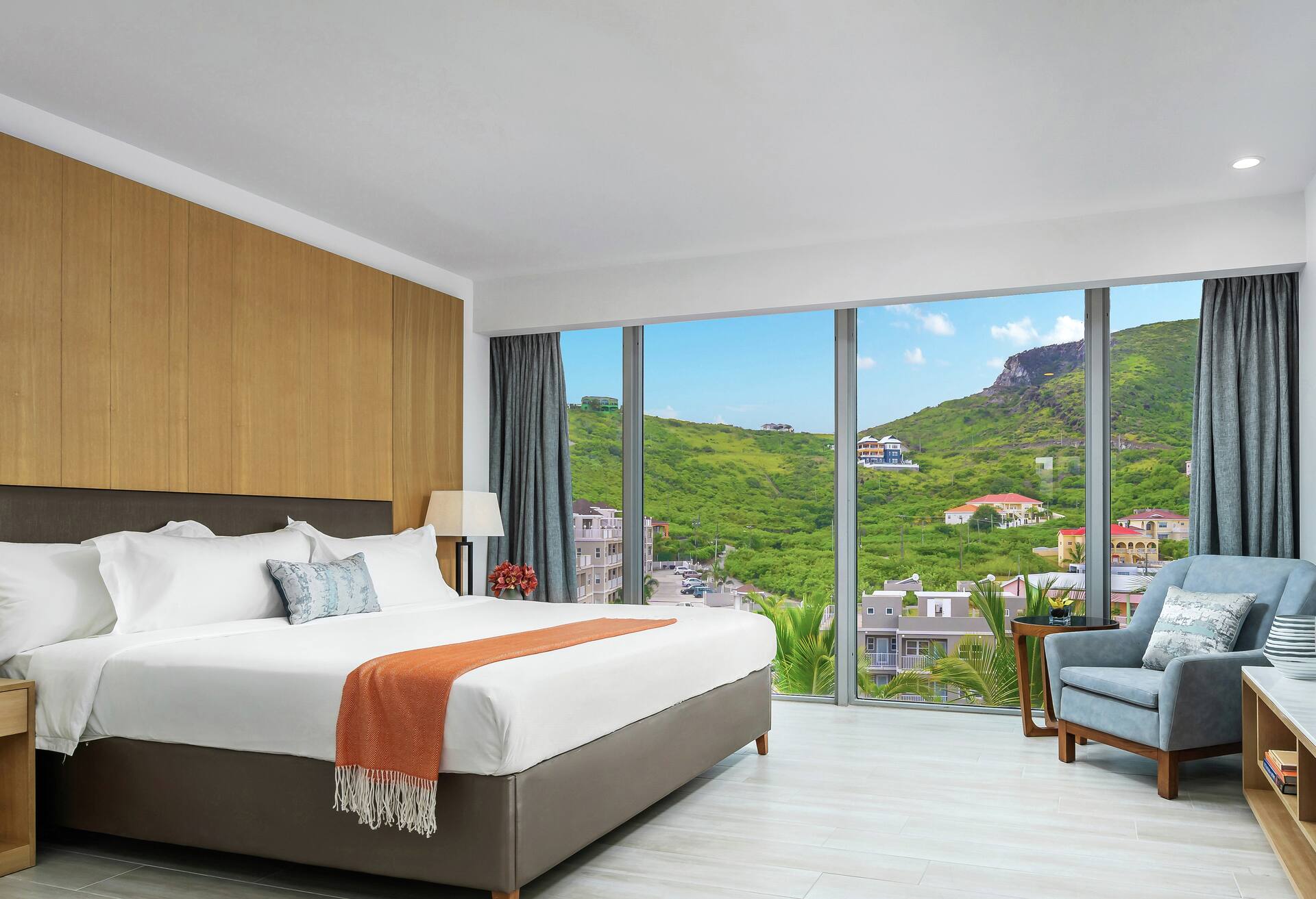 Mountain View King Room photo 1