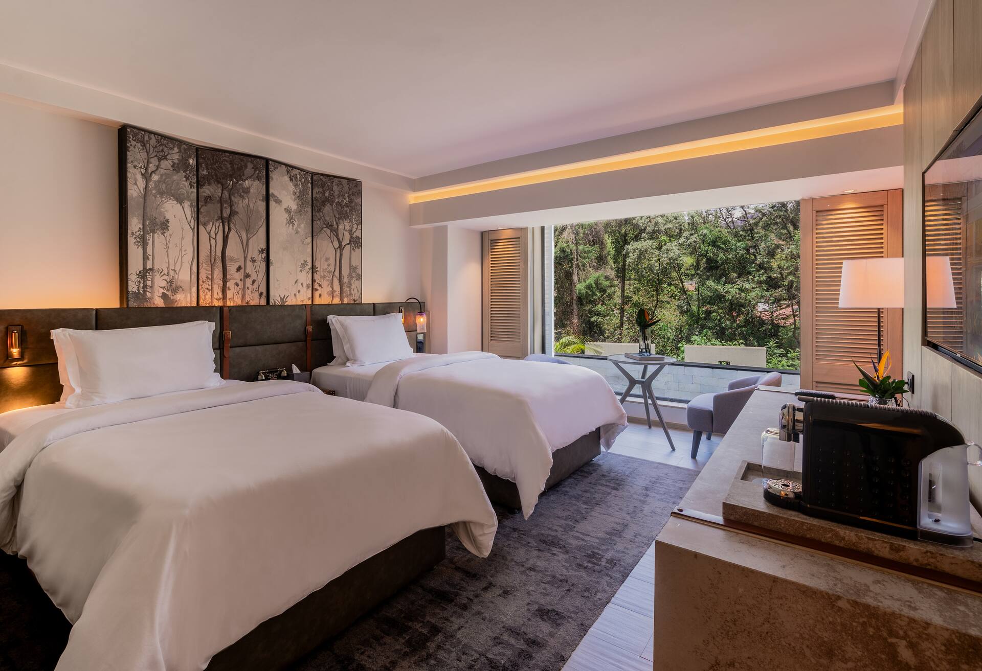 Serene Twin Deluxe Room photo 1