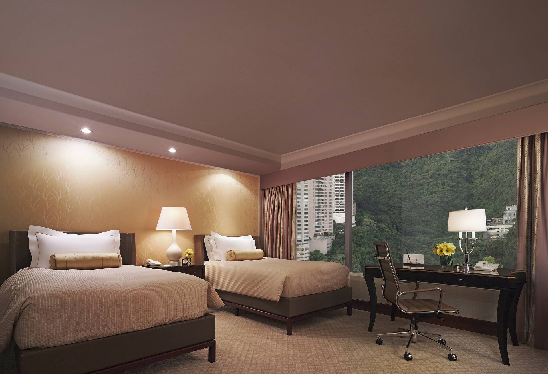 Twin Executive Peak View Room